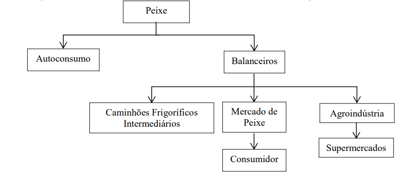 Fluxograma 4